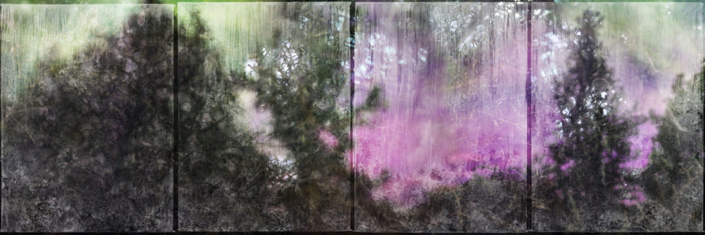 Árpád Polgár, Transient topography, Fleeting gardens n° 1 season 1, 2019. Edition of 3 + 1 artist print (all sizes included), Small size approx. 208x69cm, 12’000.- CHF; big size approx. 284x95cm, 16’000.- CHF
